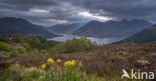 Five Sisters of Kintail