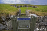 Stanydale Temple