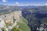 Gorges du Verdon