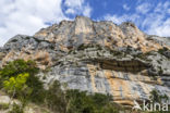 Gorges du Verdon