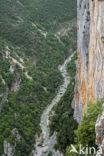 Gorges du Verdon