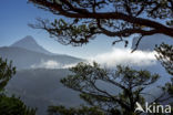 Parc naturel régional du Verdon