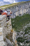 Gorges du Verdon