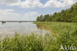 Kortenhoefse Plassen