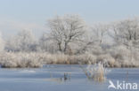 Kortenhoefse plassen