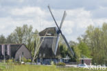 Molen Hollandia