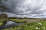 Ankeveense polder