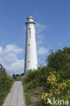 Lighthouse Witte Vuurtoren