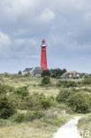 Lighthouse Noordertoren