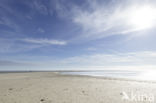 Nationaal park Schiermonnikoog