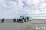 National Park Schiermonnikoog