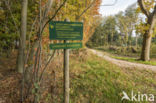 Natuurbrug Laarderhoogt