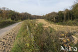 Natuurbrug Laarderhoogt