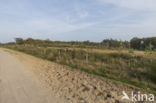 Natuurbrug Laarderhoogt