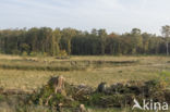 Natuurbrug Laarderhoogt