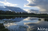 Lagieskamp Naardermeer