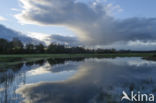 Lagieskamp Naardermeer