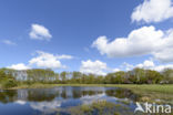 Lagieskamp Naardermeer