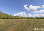 Lagieskamp Naardermeer