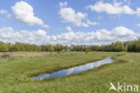 Lagieskamp Naardermeer