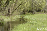 Lagieskamp Naardermeer