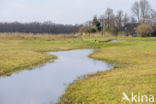 Lagieskamp Naardermeer