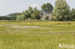 Lagieskamp Naardermeer