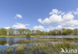 Lagieskamp Naardermeer