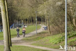 cycle path