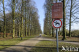 Baarnse Bos