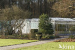 greenhouse