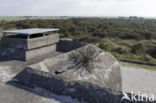 National Park Schiermonnikoog