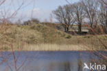 Natuurbrug Zanderij Crailo