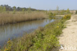 Natuurbrug Zanderij Crailo