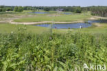 Natuurbrug Zanderij Crailo