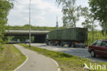 Natuurbrug Zanderij Crailo