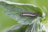 Dubbelstipvoorjaarsuil (Orthosia munda)