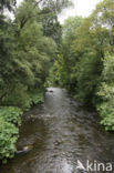 Elbingerode (Harz)