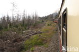 Harz National park