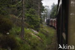 Harz National park