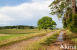 Naturschutzgebiet Lampertstal