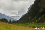 Aosta Gran Paradiso National Park