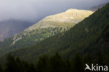 Aosta Gran Paradiso National Park