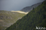 Aosta Gran Paradiso National Park