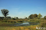 Empese en Tondense Heide