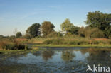 Empese en Tondense Heide