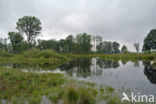 Empese en Tondense Heide