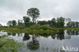 Empese en Tondense Heide