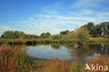 Empese en Tondense Heide