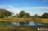 Empese en Tondense Heide